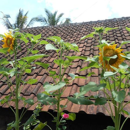 Ming Homestay Sidemen  Exterior photo